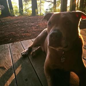 Meet your Posher, Dave